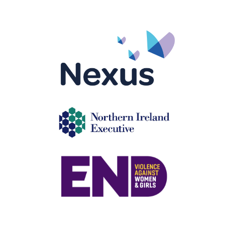 Ending Violence Against Women and Girls – Organisations Across NI Offered Specialist Training